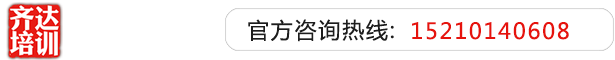 操逼骚逼操逼操你骚逼齐达艺考文化课-艺术生文化课,艺术类文化课,艺考生文化课logo